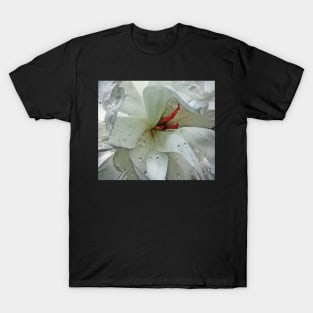 "After the Rain" T-Shirt